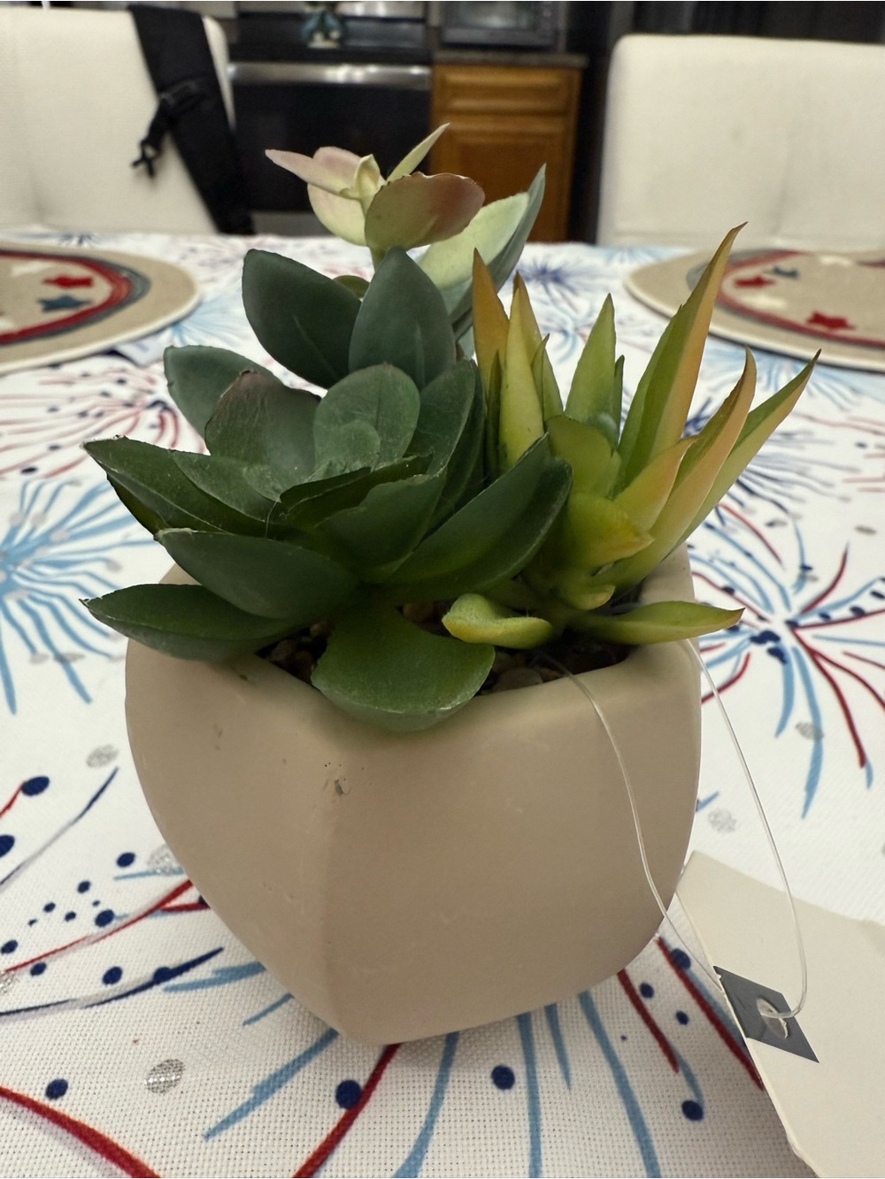 Artificial Succulent Arrangement in Beige Ceramic Planter